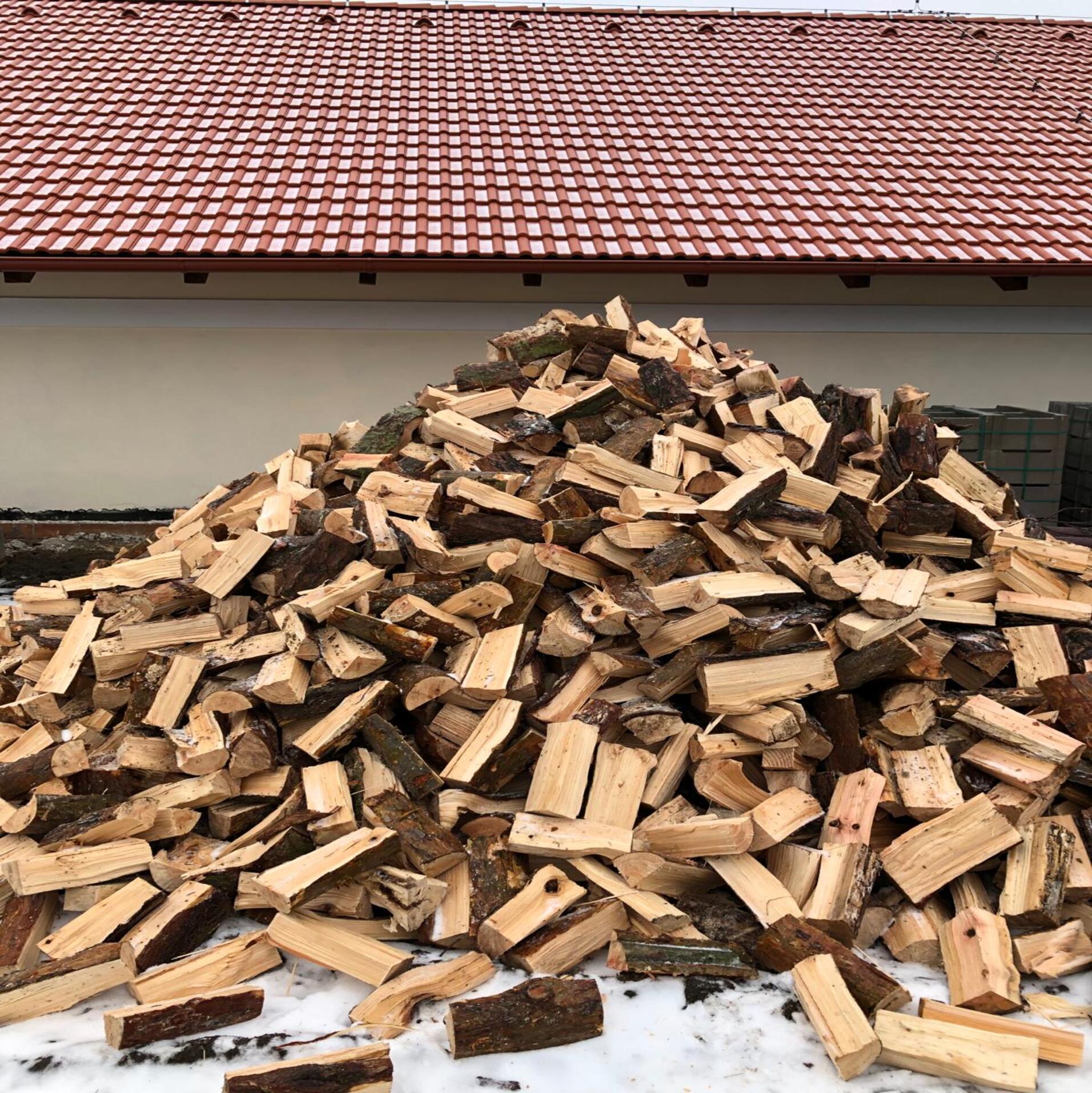 Borovice/Smrk štípaný
